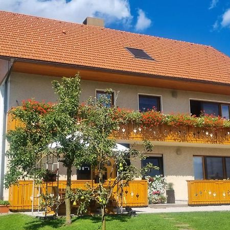 Apartma Ana In Manca Begunje na Gorenjskem Buitenkant foto