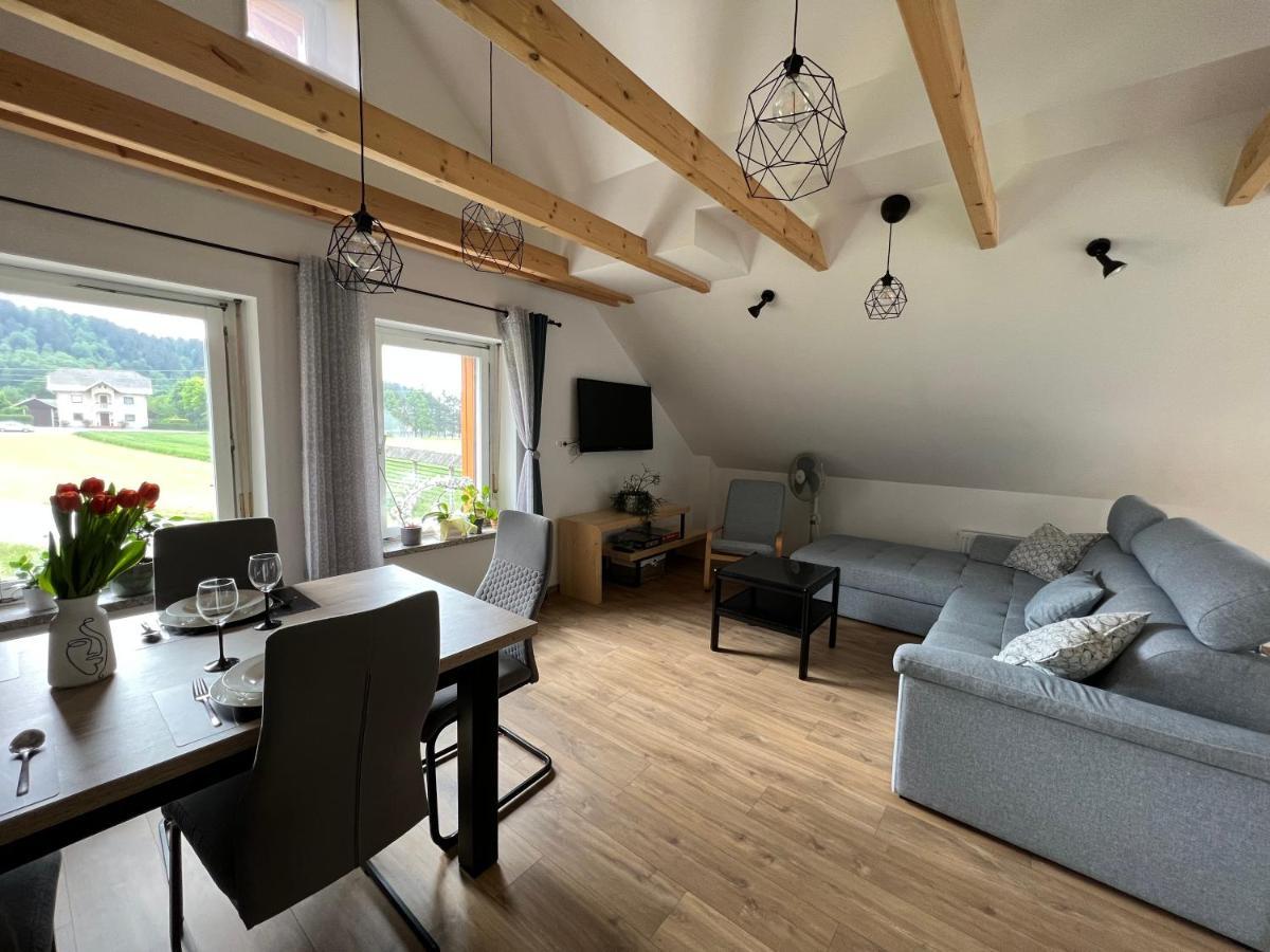 Apartma Ana In Manca Begunje na Gorenjskem Buitenkant foto