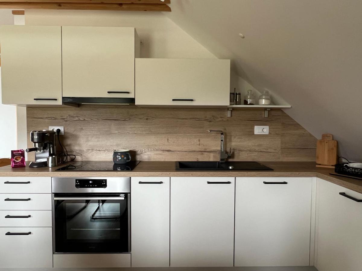 Apartma Ana In Manca Begunje na Gorenjskem Buitenkant foto