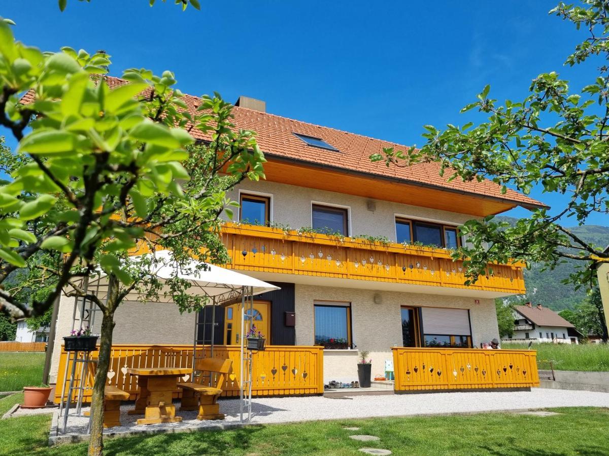 Apartma Ana In Manca Begunje na Gorenjskem Buitenkant foto