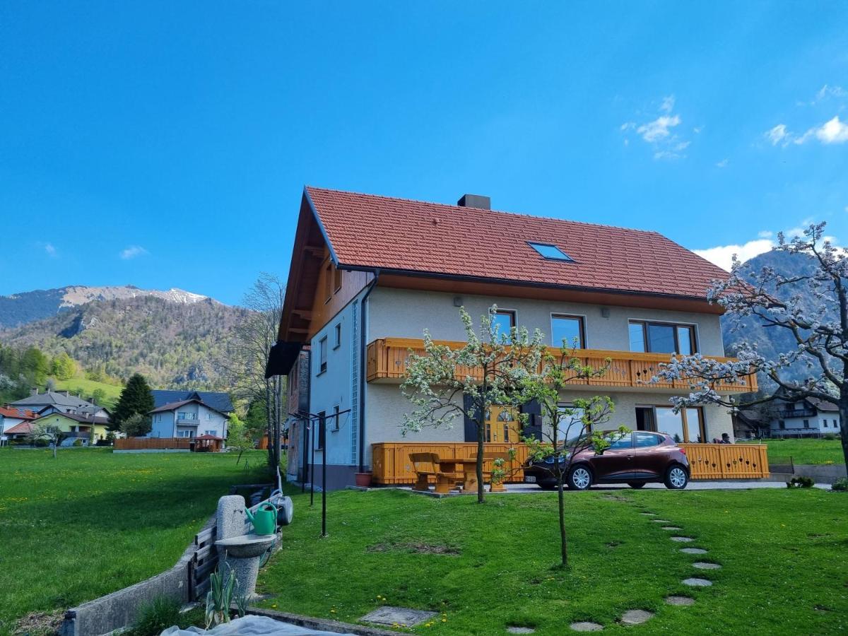 Apartma Ana In Manca Begunje na Gorenjskem Buitenkant foto