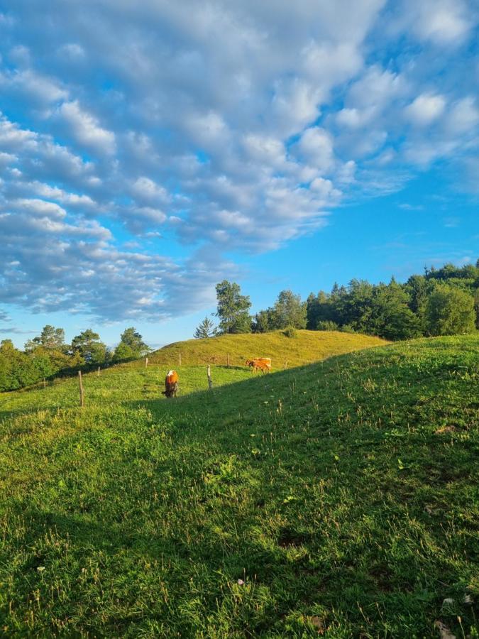 Apartma Ana In Manca Begunje na Gorenjskem Buitenkant foto
