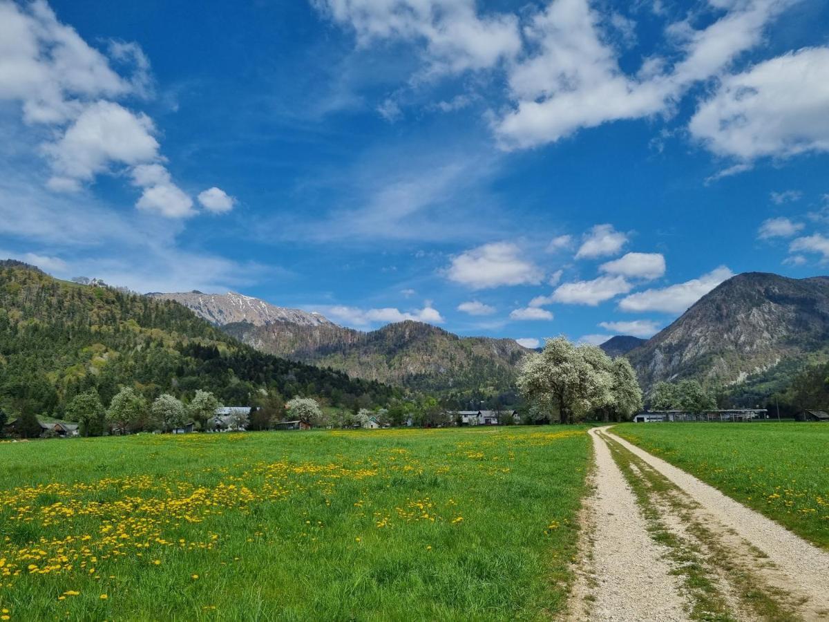 Apartma Ana In Manca Begunje na Gorenjskem Buitenkant foto