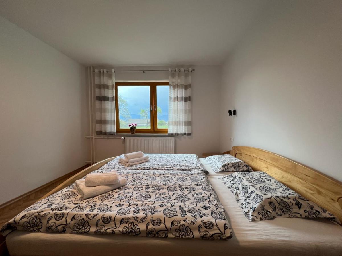 Apartma Ana In Manca Begunje na Gorenjskem Buitenkant foto
