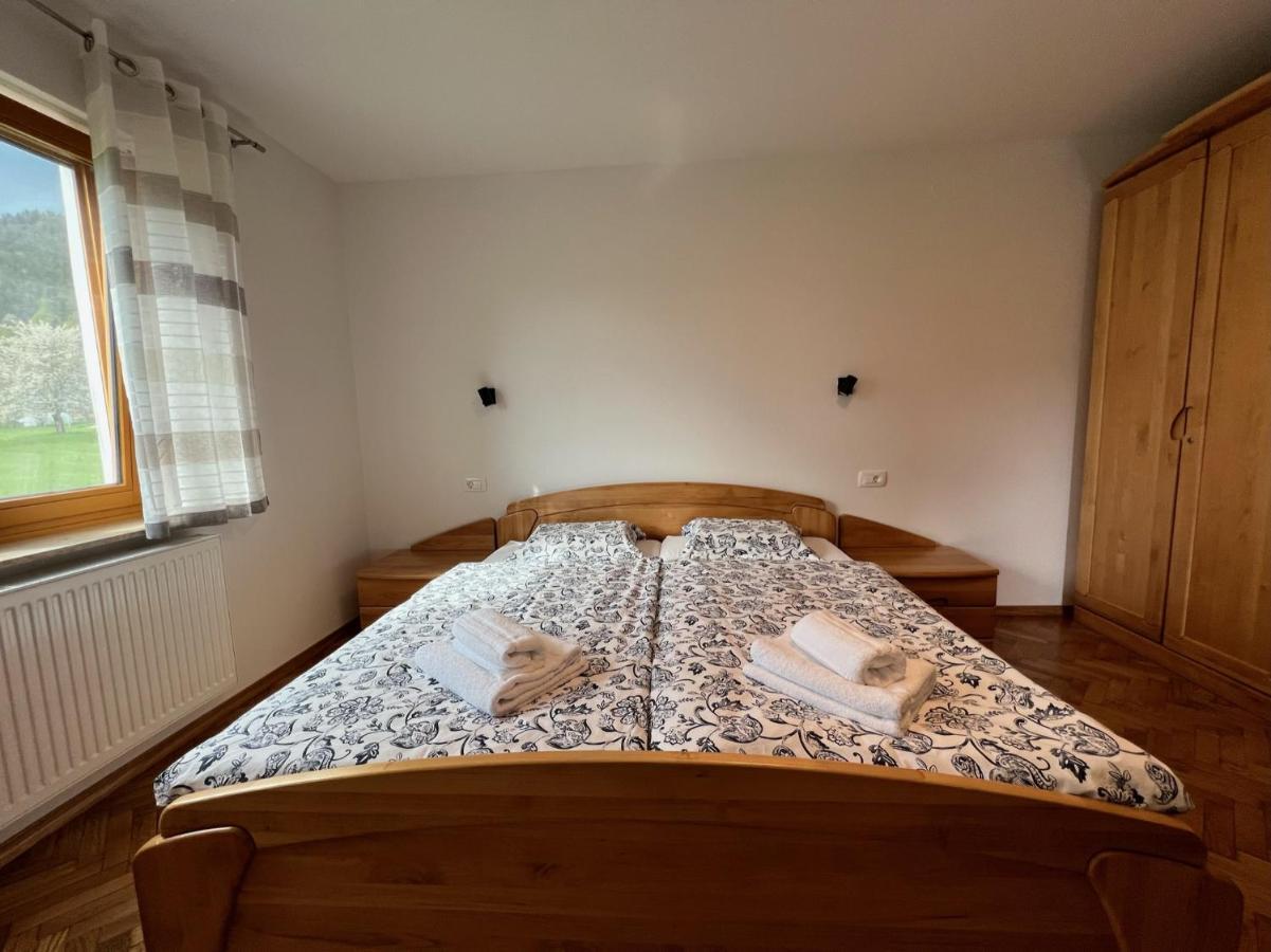 Apartma Ana In Manca Begunje na Gorenjskem Buitenkant foto