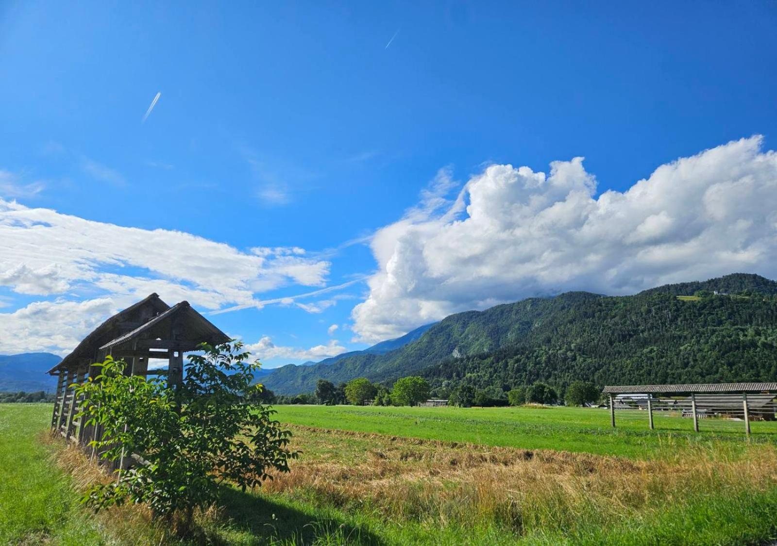 Apartma Ana In Manca Begunje na Gorenjskem Buitenkant foto